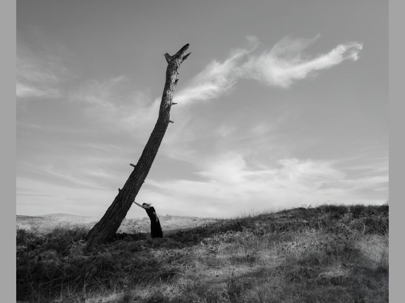 Yves Rocher Vakfı ve Murathan Özbek'ten “Yanıbaşında” Ağaçlarla Kurulan Bir Dostluk Hikayesi