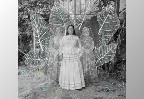 Sony Dünya Fotoğrafçılık Ödülleri 2026: Genel Kazananlar Açıklandı