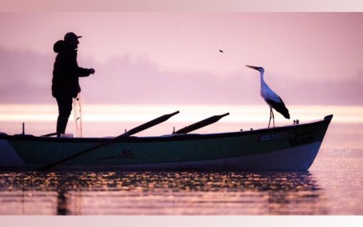 Yaren 14. Kez Geldi, Yine Fotoğrafçı Alper Tüydeş Fotoğrafladı