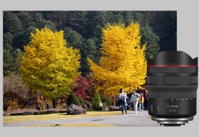 Canon RF 10-20MM F4L IS STM