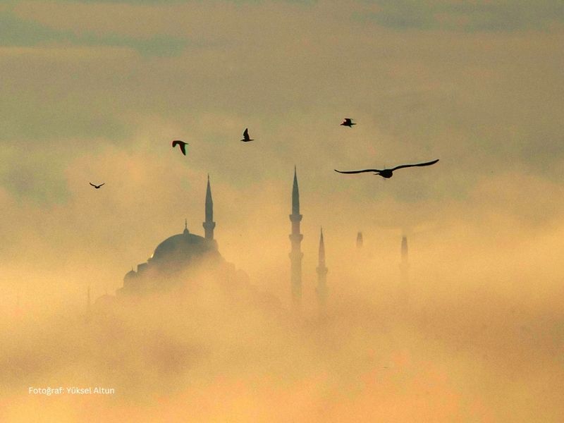 74 yukselaltun