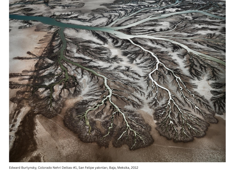 Edward Burtynsky4