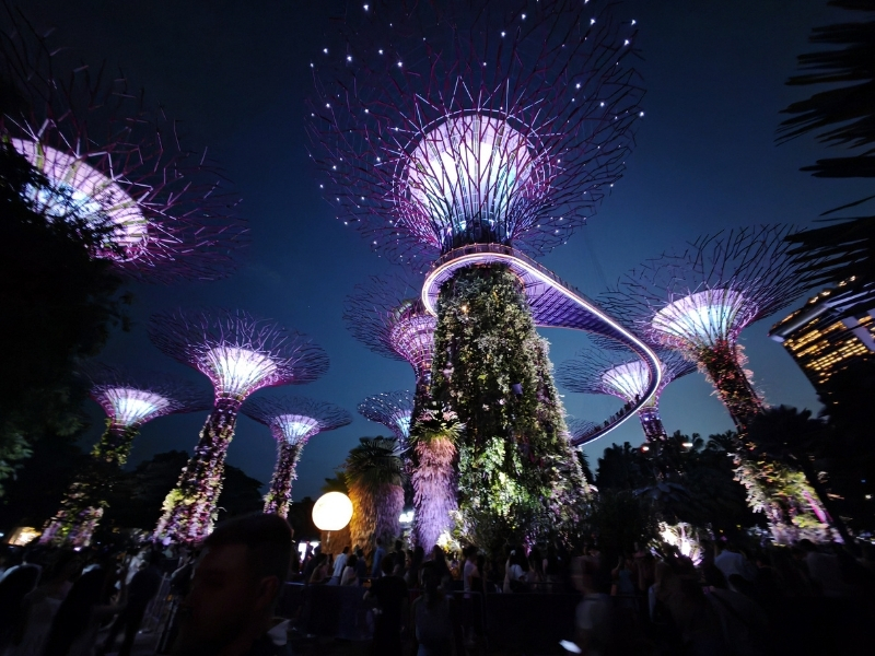 ademmeleke singapur