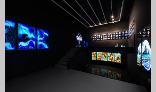 “arura” Art On Pera’da