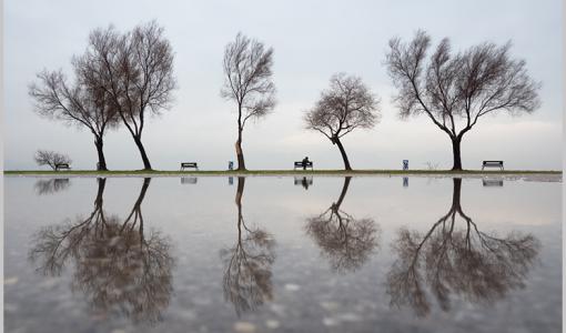 &quot;Bankın Hikayesi&quot; Fotoğraf Yarışmasının Kazananları Belli Oldu