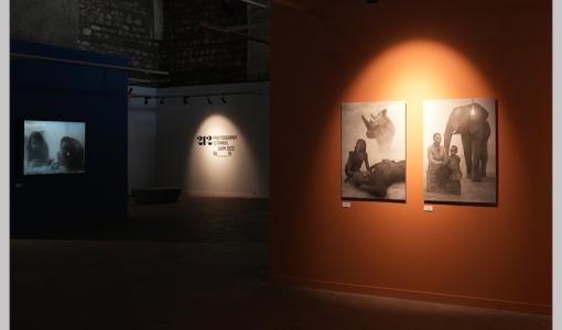 Altıncı Yılında 212 Photography Istanbul 