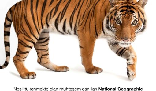 Dünyanın en popüler National Geographic sergisi Photo Ark şimdi Türkiye’de!