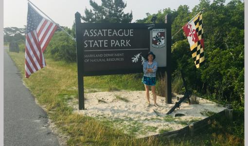 Assateague Adası: Vahşi Atların Cenneti