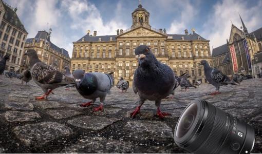 sony-fisheye