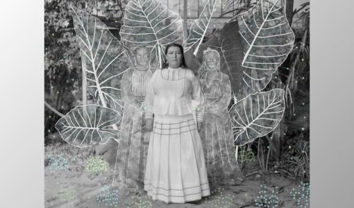 Citlali-Fabian-sony-odul