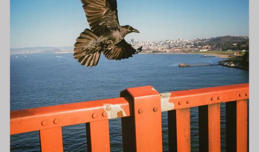 LensCulture Street Photography Awards 2022'nin Kazananlarını Açıkladı